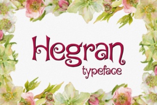 Hegran: A Designer’s Honest Review for Branding
